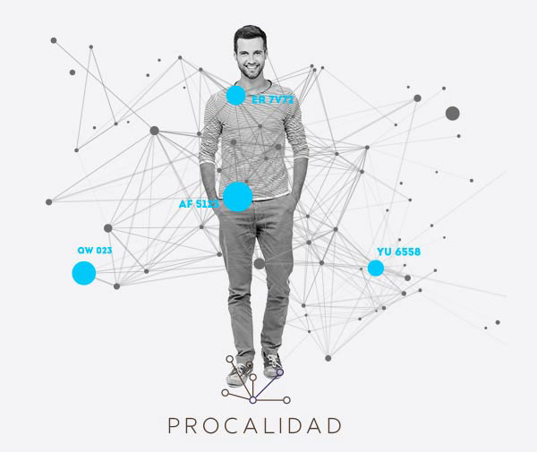¿Qué es PROCALIDAD?